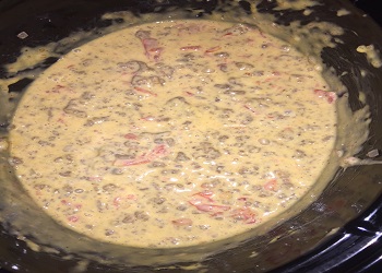 finished rotel dip